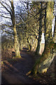 Path beside Loch of Kinnordy