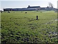 Buildings at Sturton Grange Farm