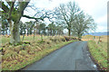 Minor road near Easter Meiggar