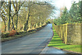 Minor road near Auchterarder