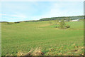 Farmland near Commonbank