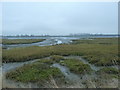 SU8303 : Fishbourne Channel at low tide by Dave Spicer