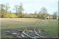 Waterlogged field near Wellbank