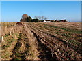 View towards Manor Farm