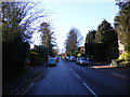 Douglas Road, Harpenden