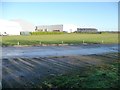 The sheds of Sturton Grange Farm, from the south