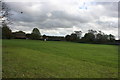 TQ4281 : Beckton District Park by N Chadwick