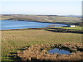 Pastures north of Edmundbyers