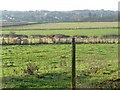 Farmland south of Dungeon Lane Farm