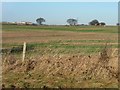 Farmland west of Swithen