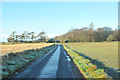 Minor road near Brathinch Farm