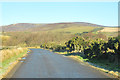 Minor road near Burnfoot