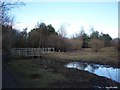 Stream Around Forfar Loch