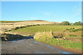 Farm road to Kilgarie