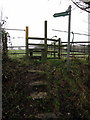 Steps up to the public footpaths