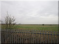 Farmland at North Carr, Kingston upon Hull