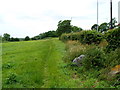 Track through The Daisy Field, Lamplighters Marsh, Shirehampton, Bristol