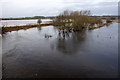 River Isla in spate at Bridge of Crathies