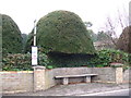 Unusual bus shelter in Foxton