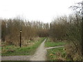 The Noddle Hill Nature Reserve, Bransholme, Hull