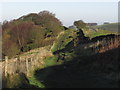 Path along spine of Saddle of Kerridge near Bollington