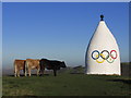 Heifers admire White Nancy Monument, Bollington