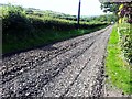 Road Recycling Near Kirkfield Lodge