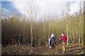 Coppicing