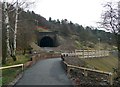 Approach to the Earlsheaton Tunnel