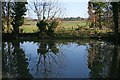 Ponds near Home Farm