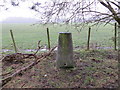 Ordnance Survey Trig Pillar S6790