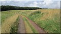 Farm road,  Frogden