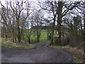 Track to West Newlands Farm