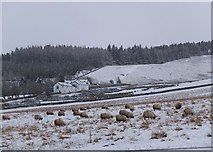 NT2439 : Sheep near Edderston by Jim Barton