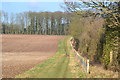 Public footpath beside the railway cutting, north of Micheldever Station