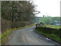 Road near Brightenber Plantation