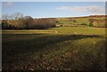 Field by Esk Valley Walk