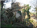 Ruined out house below Wolvesnewton church