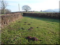 Field corner footpath