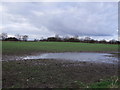 Farmland, Mordon Moor