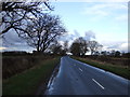 Roman Road towards Sedgefield