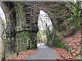 Taff Trail passing under Quaker