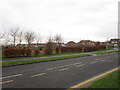 A small park on Kingsbury Way, Kingswood, Hull