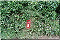 Postbox in a hedge