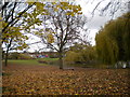 Pond in Quinton Park, Cheylesmore