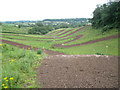 Motocross track near Newpark Farm