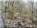 Abandoned allotments