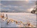 Snowy landscape