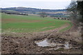 A winter Cotswold landscape