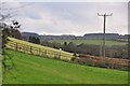 ST0320 : Mid Devon : Grassy Hillside by Lewis Clarke
